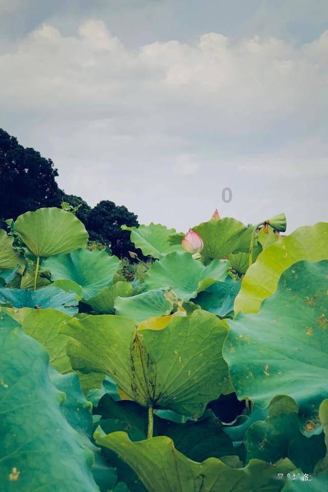 救援受困的小偷