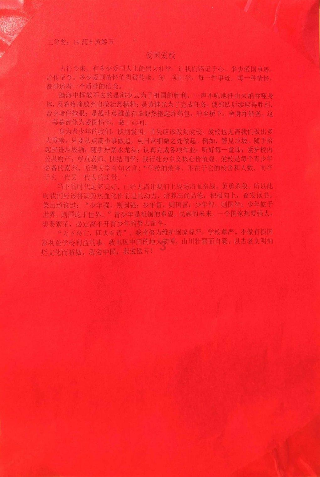 见习小魔女勇闯猪窝岛