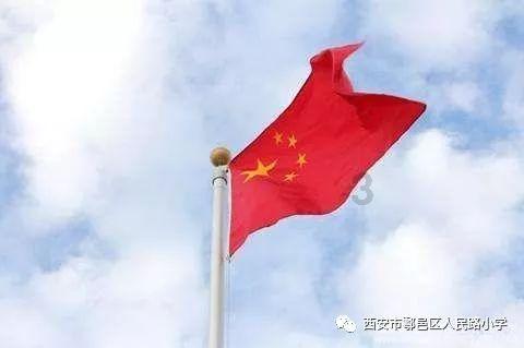 虫虫助手下载