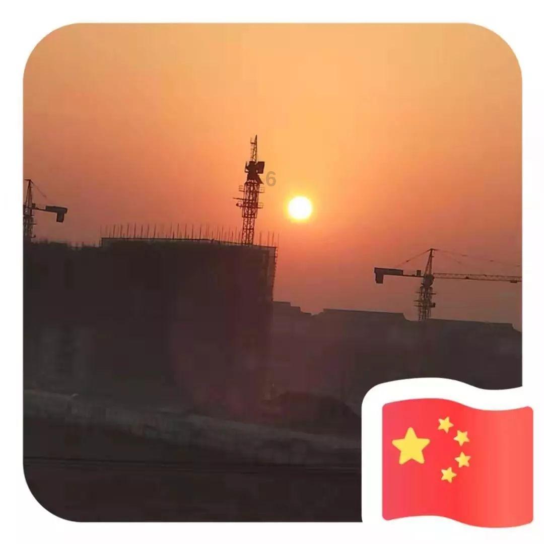寻找迷路的松鼠