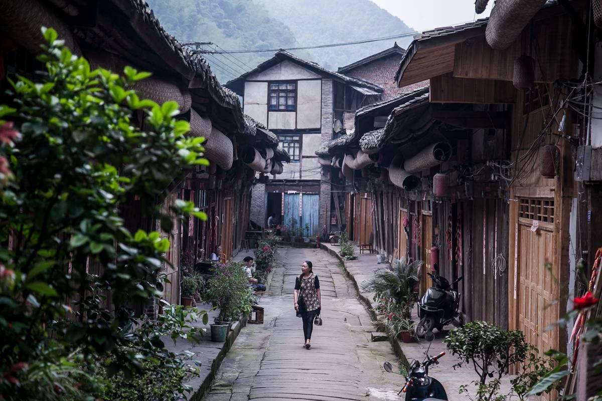 丛林森林逃生